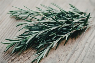 Soli Organic Rosemary .5oz