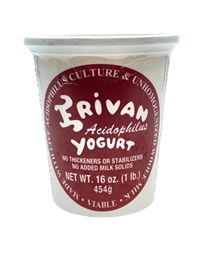 Erivan Acidophils Plain yogurt (16oz)