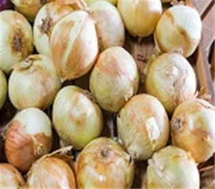 Vidalia Onions