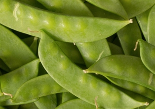 Urban Roots Snow Peas (Stringless)