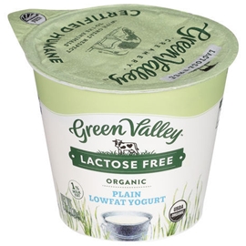 Green Valley Org Lactose Free Plain
