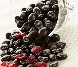Dark Chocolate Covered Cranberries (9OZ)