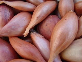 Organic Shallots (10oz)