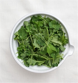 Organic Girl Baby Kale 4oz