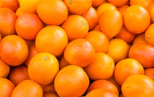 Organic Navel Oranges