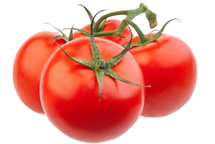 Organic Tomatoes on the Vine